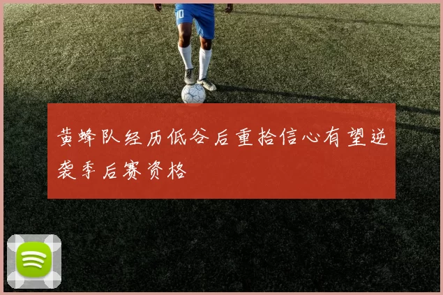 黄蜂队经历低谷后重拾信心有望逆袭季后赛资格
